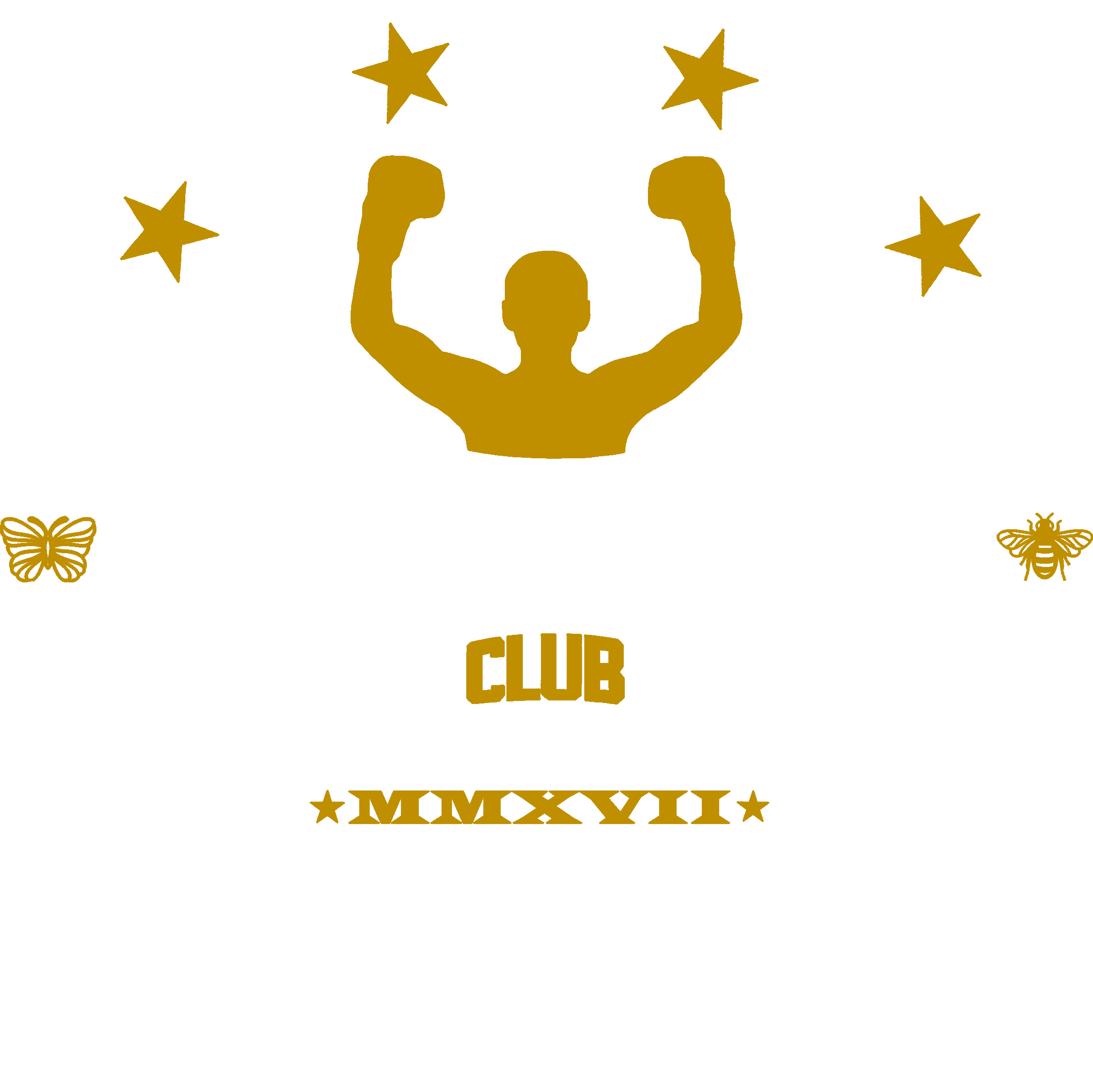 DEFIS BOXING CLUB : Club de boxe à Dreux – Vernouillet Logo